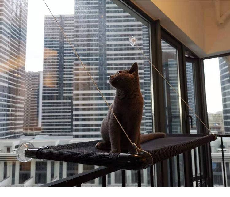 Black Window Cat Hammock