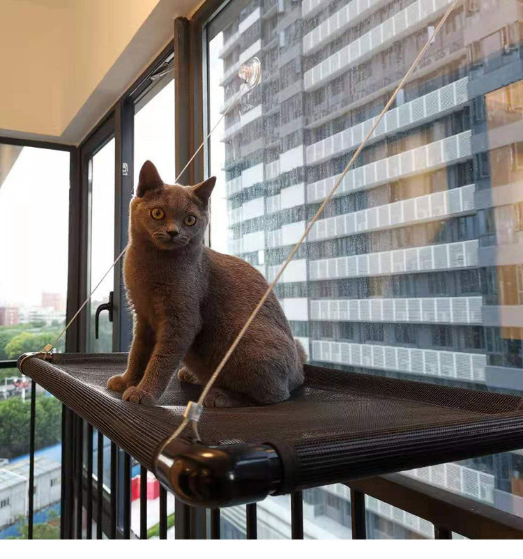 Black Window Cat Hammock
