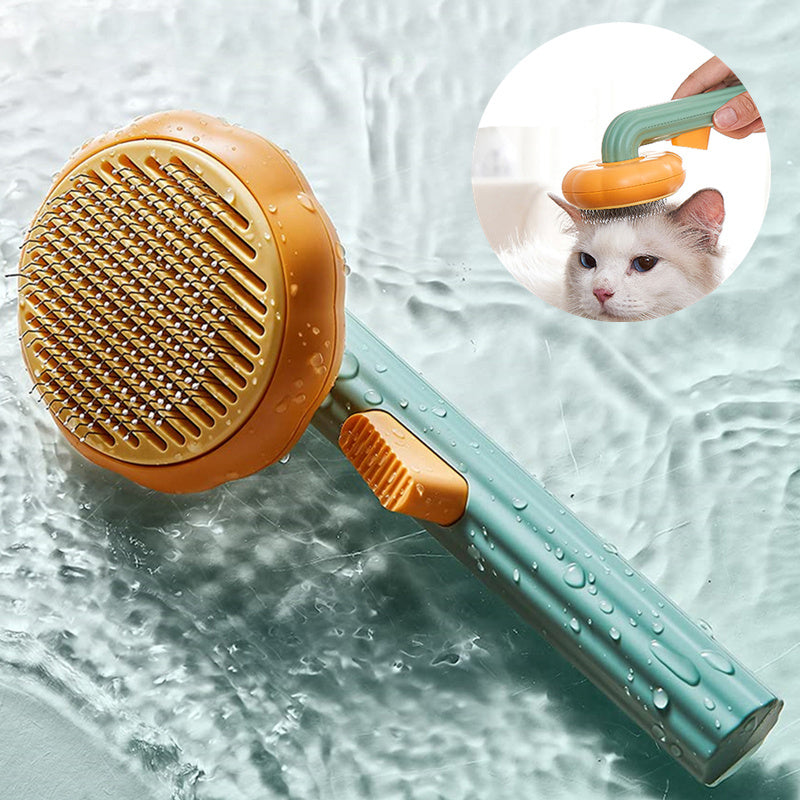 Cat Hair Remover Brush