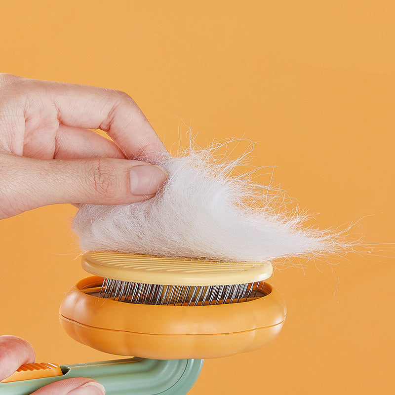 Cat Hair Remover Brush